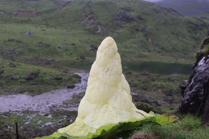 -सन्तोष पुर्कुटी
